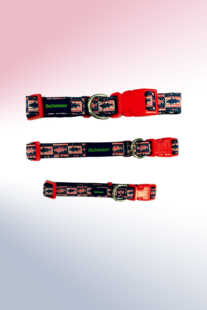 Stars &amp; Striped Bass Dog Collar