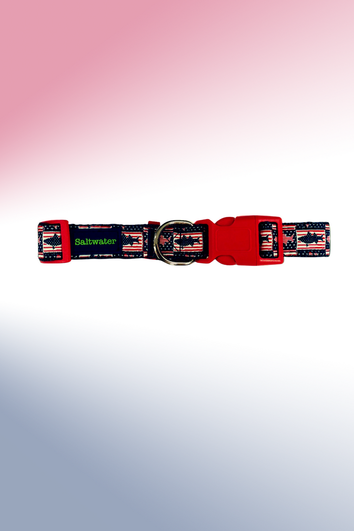 Stars &amp; Striped Bass Dog Collar