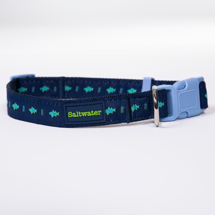 Saltwater Dog Collar