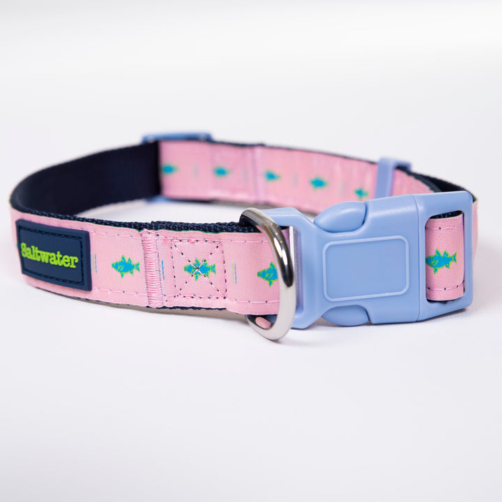 Saltwater Dog Collar