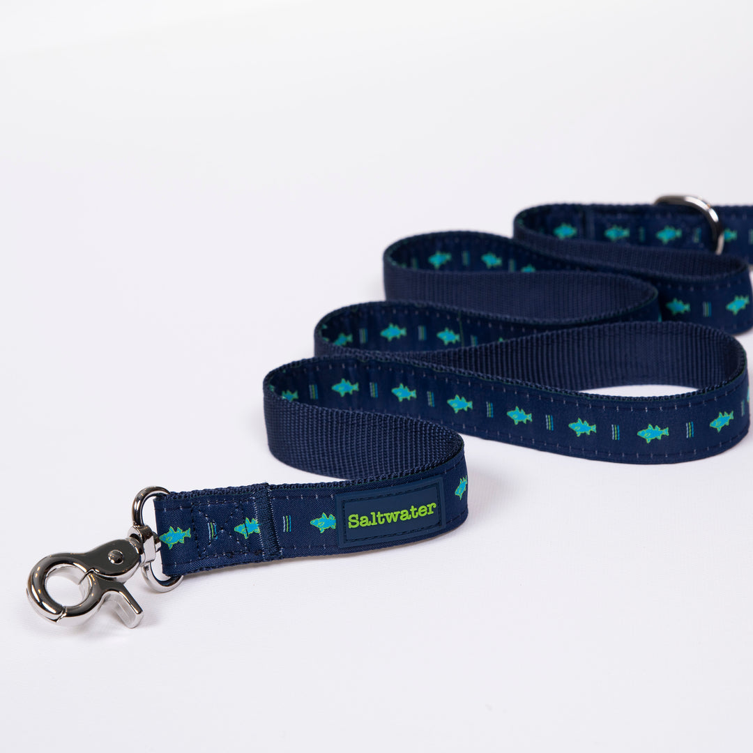 Dog Leash