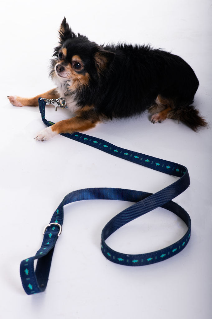 Dog Leash